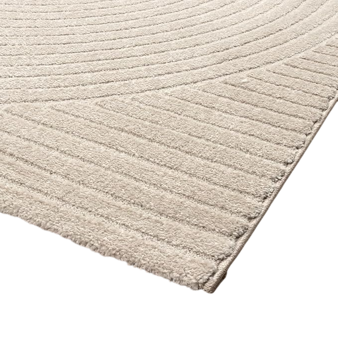 Light grey, plush area rug with a soft texture, rectangular shape. Light grey, plush area rug with a soft texture, rectangular shape.